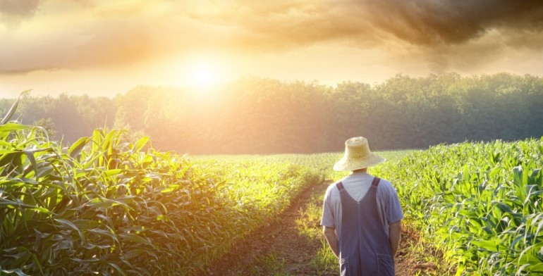 agricoltura_campi_imprenditore-770x392